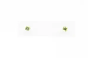 White Gold Peridot Earrings